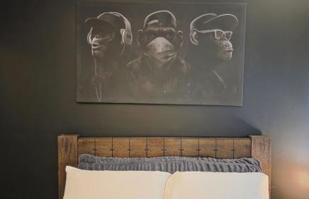 ANSI Splendor - Foto 23