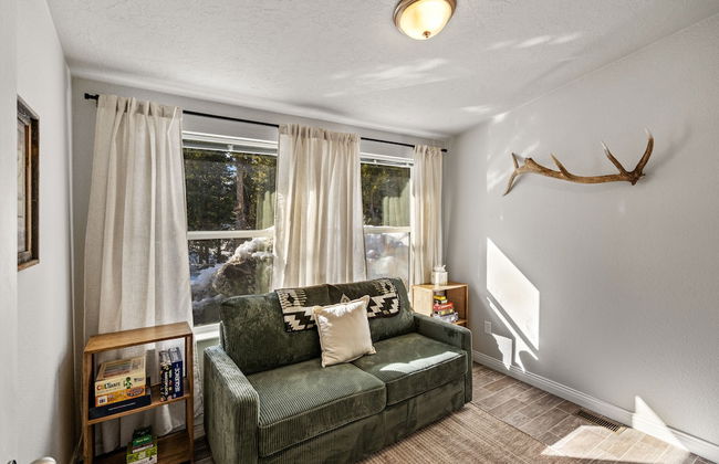 Hidden Pines - Photo 1