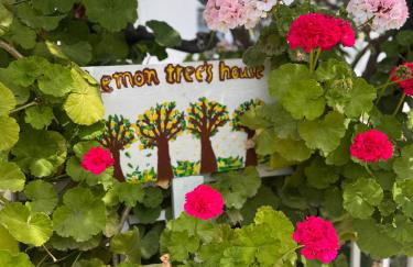 Lemon tree's house - Foto 3