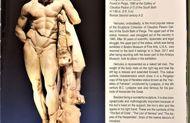 Arkk Homes - Foto 61