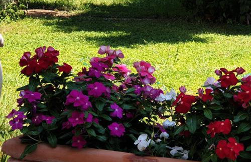 HOUSE SUITES DOMAINE - Foto 37