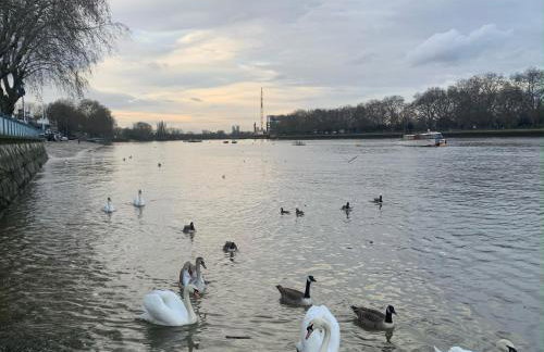 Boutique Putney Riverside Apartment - Foto 14