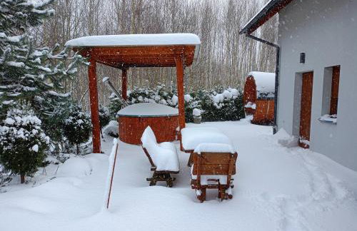 Willa w Brzozach Sznurki Spokojna 1 - Chmielno, Kaszuby, dom, jezioro - Foto 71