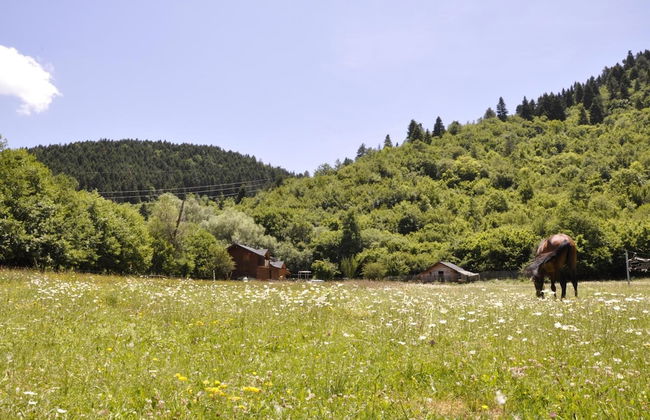 Farma Sotira - Foto 56