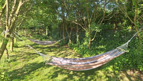 Apartament Miodowy - Foto 2