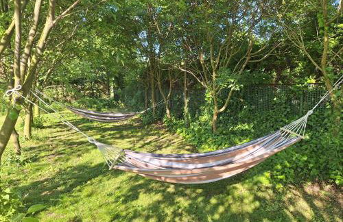 Apartament Miodowy - Foto 2