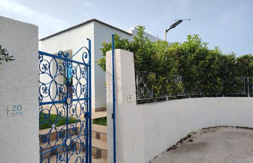 Endless Summer - Photo 11