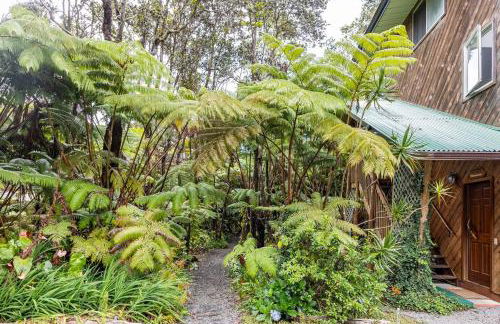 Pahoehoe- Hale Kumu La'au at Volcano - Photo 14