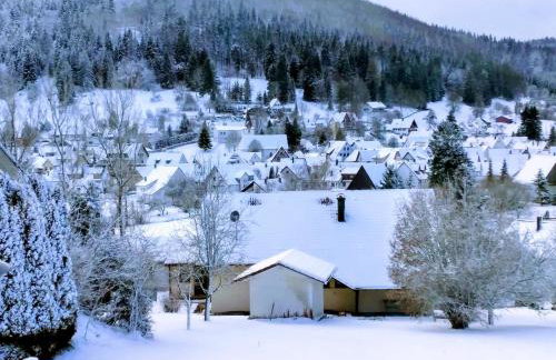 Mayntz' Albjuwel - Foto 13