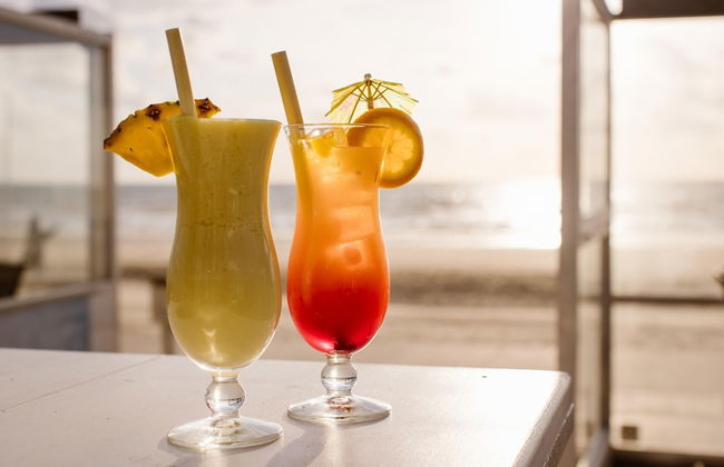 Beach House in Julianadorp by the North Sea - Foto 27