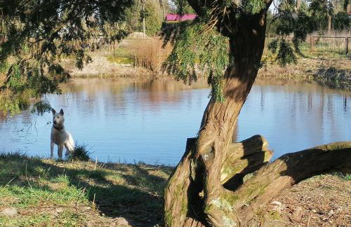 Pałac Paprotno - Foto 60