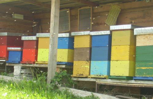 House Petra - Foto 40