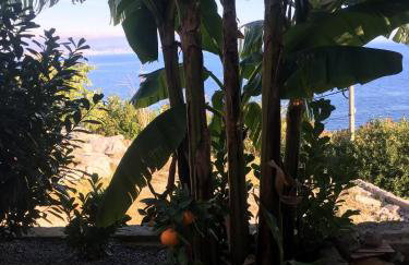 Villa Isabela - Foto 28