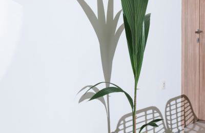 Arbona Apartment Ι - Photo 10