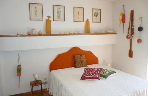 il geranio - Foto 17