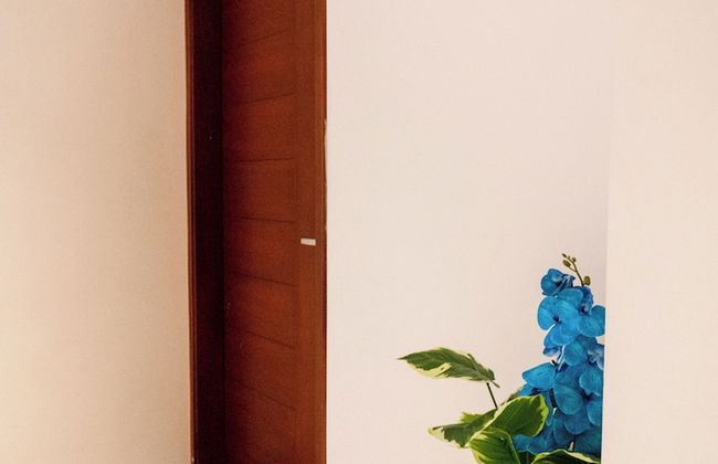 Petit Palace Apart Hotel Suites - Photo 9