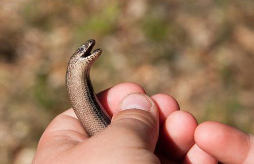 Feriendomizil Alter Garten - Photo 69