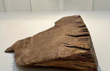 La Cocca Via Saffi, Suite con Vasca in Camera - Foto 21