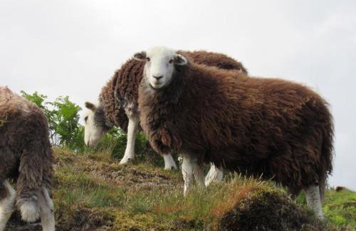 Cottage on the Green with Log Burner - Dog Friendly - Foto 65
