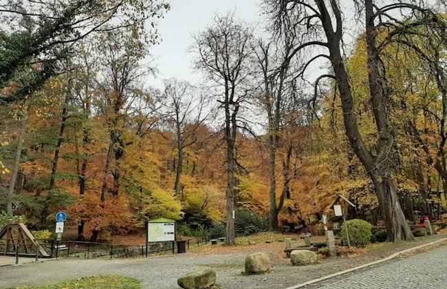 Classic Holiday Home in Harz near Braunlage Ski Area - Foto 25