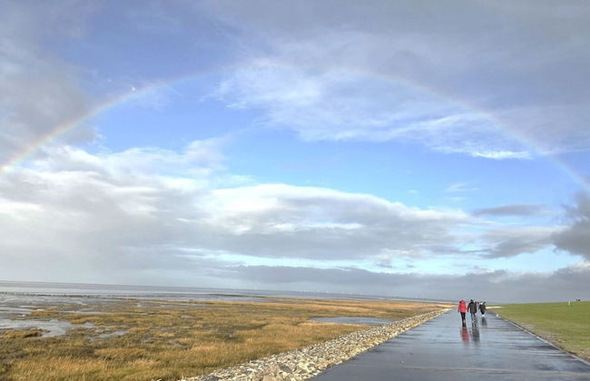 Doppelhaushalfte, Friedrichskoog-spitze - Foto 20