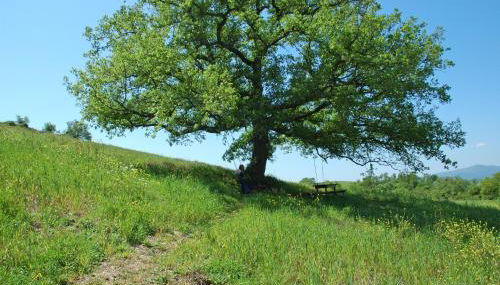 Podere Santa Maria - Foto 5