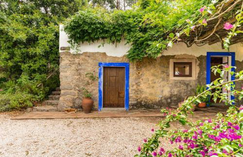 Quinta Da Relva - A traditional farmhouse in a stunning location - Foto 49