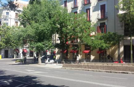 Apartamento La Milla de Oro - Foto 34