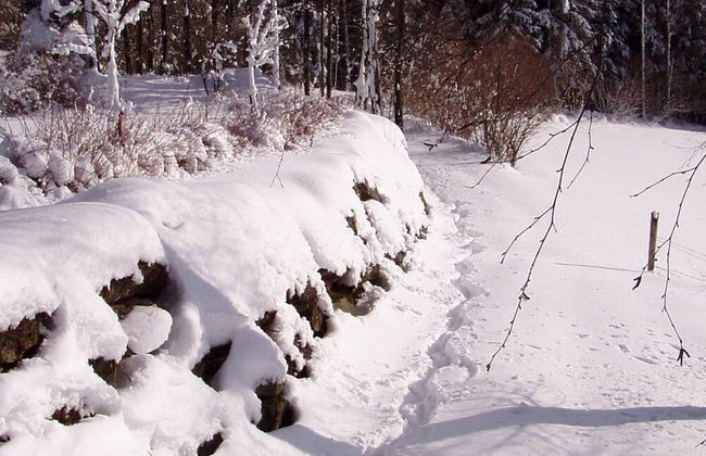 Chalet in Kollnburg Near St. Englmar Ski Area - Photo 25