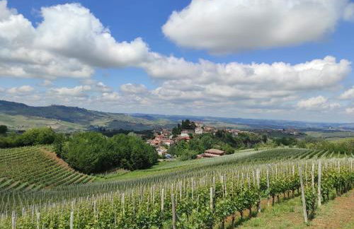 Agriturismo Bianconiglio - Foto 54