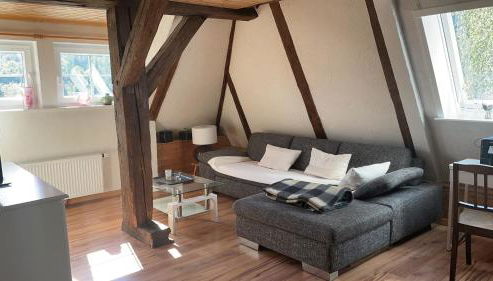 Erholsame Schwarzwaldwohnung - Foto 4