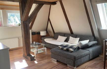 Erholsame Schwarzwaldwohnung - Foto 4