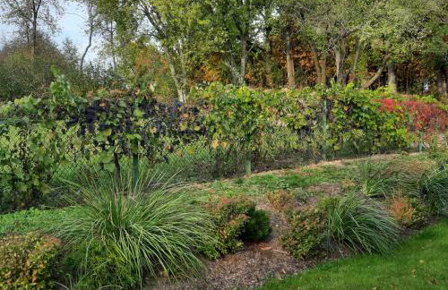 Apartamenty Sielanka - Foto 60