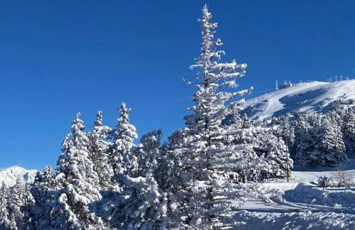 Appartement Fred Chamrousse - Au pied des pistes avec connexion wifi internet haut débit fibre - idéal pour les télétravailleurs - Foto 33