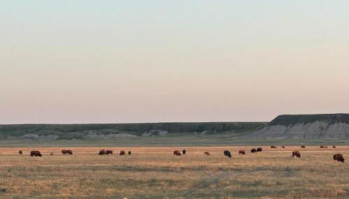 Buffalo Drift Tiny Home - Foto 3