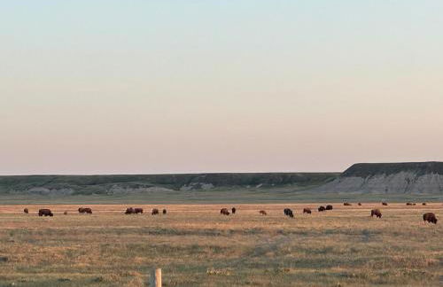 Buffalo Drift Tiny Home - Foto 3