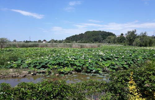 Cecco di Nara - Foto 11