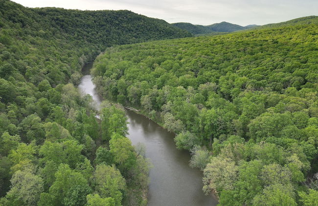 River Walk Cottage - Romantic Escape - Foto 23