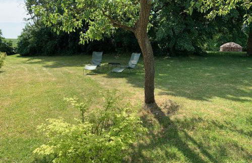 Design Villa Uckermark mit riesigem Garten - Photo 18