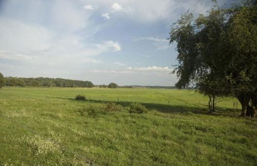 Usedom Ferienwohnungen Riwa ruhig - Foto 24