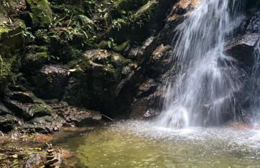 Village Arcoverde - Visconde de Mauá - Photo 45