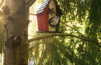 Treehouse Place at Deer Ridge Ole Mill - Foto 35