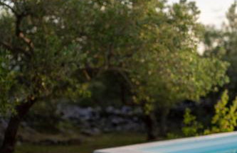 Mai's Villa - Foto 11