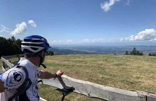 on the Willmann farm - Foto 12