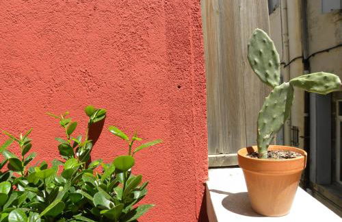 La Terrasse du Marché aux Fleurs - Foto 24