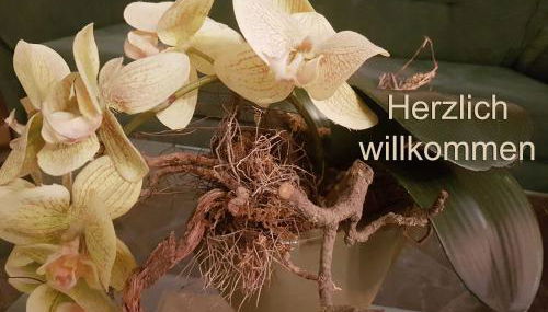 Ferienwohnung am Stadthafen _ Obje - Foto 2, Lobby or reception