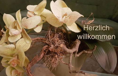 Ferienwohnung am Stadthafen _ Obje - Foto 2