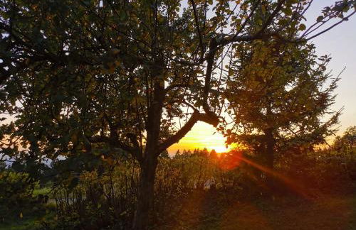 Troidkasten am Grandsberg - Foto 29