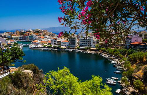 Solomon Royal Garden - Foto 21