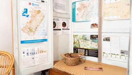 APARTAMENTS ROIG - Photo 3